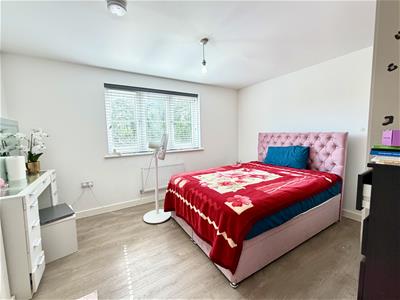 Picture 13